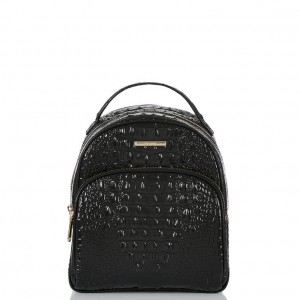 Black Women's Brahmin Chelcy Backpacks | 8106SNURK