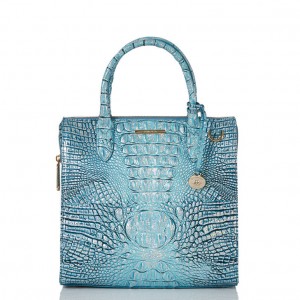 Blue Women's Brahmin Caroline Satchel Bags | 2018JLAKP