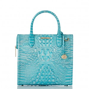 Blue Women's Brahmin Caroline Satchel Bags | 5297OGQBY