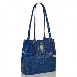 Blue Women's Brahmin Fiora Bucket Bags | 3520DHOCV