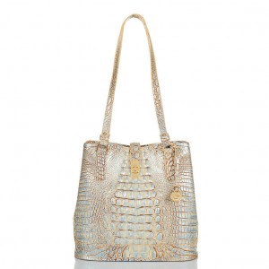 Blue Women's Brahmin Fiora Bucket Bags | 6423KYQWM