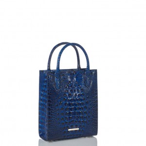 Blue Women's Brahmin Moira Tote Bags | 5603HPVBC