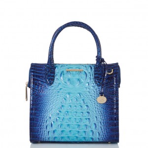 Blue Women's Brahmin Small Caroline Satchel Bags | 0597JPBXQ