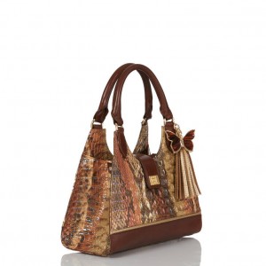 Brown Women's Brahmin Adrian Satchel Bags | 2658EFLOY