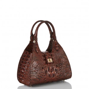 Brown Women's Brahmin Adrian Satchel Bags | 9156CDXAN