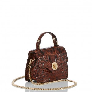 Brown Women's Brahmin Arietta Crossbody Bags | 6237AVZWH