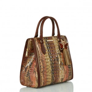 Brown Women's Brahmin Caroline Satchel Bags | 6973SJPVF