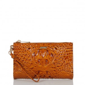 Brown Women's Brahmin Daisy Clutch Bags | 8945WLPIO