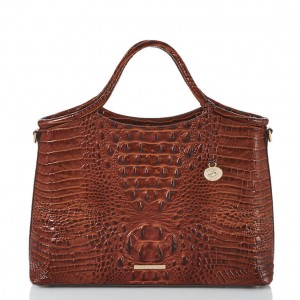 Brown Women's Brahmin Elaine Satchel Bags | 9073SDGBV