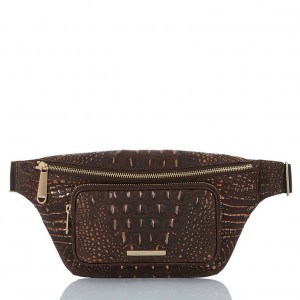 Brown Women's Brahmin Harker Crossbody Bags | 8143XGUWR