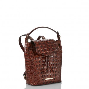 Brown Women's Brahmin Kendall Backpacks | 6495KHONP