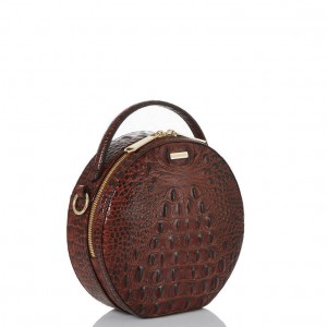 Brown Women's Brahmin Lane Crossbody Bags | 6287JLGBT