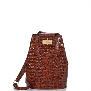 Brown Women's Brahmin Maddie Bucket Bags | 5149WOTBM