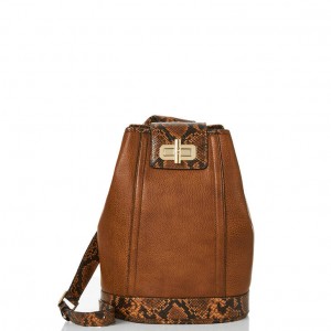 Brown Women's Brahmin Maddie Bucket Bags | 2970ROXHB