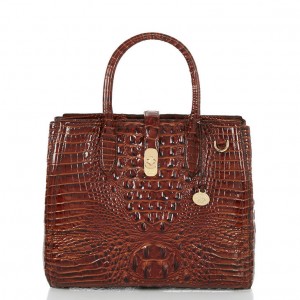 Brown Women's Brahmin Nakita Satchel Bags | 0548MJATE