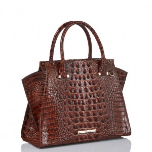 Brown Women's Brahmin Priscilla Satchel Bags | 1075CIYDP