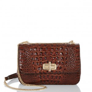 Brown Women's Brahmin Rosalie Crossbody Bags | 2369SWDVM