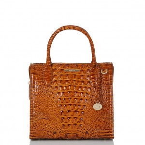 Brown Women's Brahmin Small Caroline Satchel Bags | 2637GZKNW