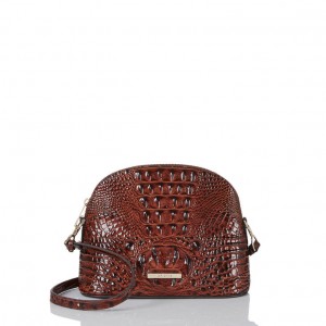 Brown Women's Brahmin Small Georgina Crossbody Bags | 4532CYRUM