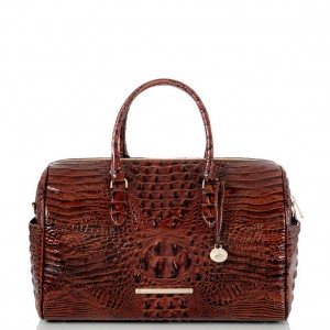 Brown Women's Brahmin Spencer Travel Bags | 1806ILTXE