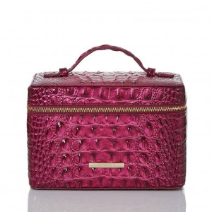 Burgundy Women's Brahmin Charmaine Travel Bags | 2849SCUDT