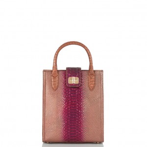 Burgundy Women's Brahmin Moira Tote Bags | 2795YNQLM