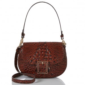 Chocolate Women's Brahmin Cynthia Shoulder Bags | 9732FRKOC