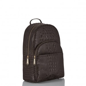 Chocolate Women's Brahmin Dartmouth Backpack Backpacks | 6281EMXKU