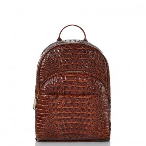 Chocolate Women's Brahmin Dartmouth Backpack Backpacks | 6427WRQKH