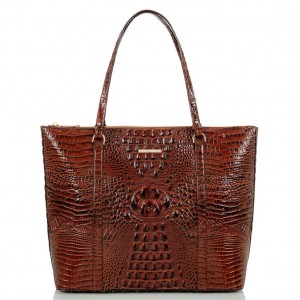 Chocolate Women's Brahmin Jules Travel Bags | 8670DEKQM