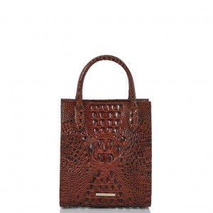 Chocolate Women's Brahmin Moira Tote Bags | 0467YEUPZ