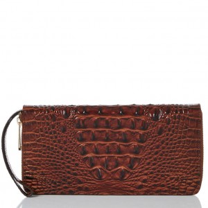 Chocolate Women's Brahmin Skyler Travel Bags | 5168YLBAH