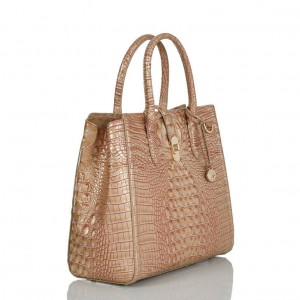 Gold Women's Brahmin Nakita Travel Bags | 3489BNYXE