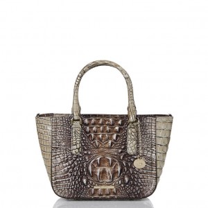 Grey Women's Brahmin Small Ashlee Satchel Bags | 7936AYKJV