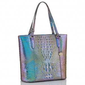 Multicolor Women's Brahmin Abigail Tote Bags | 0782XBGWQ