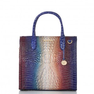 Multicolor Women's Brahmin Caroline Satchel Bags | 5971FMVOE