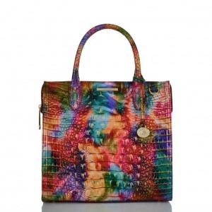 Multicolor Women's Brahmin Caroline Satchel Bags | 7235TXNEO