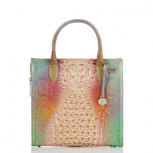 Multicolor Women's Brahmin Caroline Satchel Bags | 3628JDITW