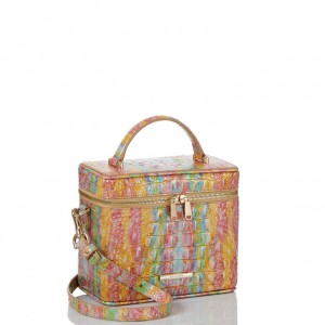 Multicolor Women's Brahmin Chantal Crossbody Bags | 1273ETKYX