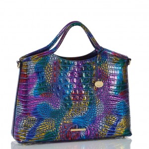 Multicolor Women's Brahmin Elaine Satchel Bags | 1978XBREL