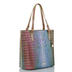 Multicolor Women's Brahmin Ezra Tote Bags | 6213IYZAD