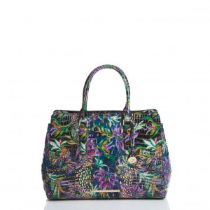 Multicolor Women's Brahmin Finley Carryall Satchel Bags | 4208FNSID