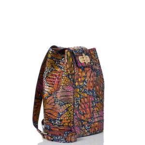 Multicolor Women's Brahmin Maddie Bucket Bags | 8104SCJTW