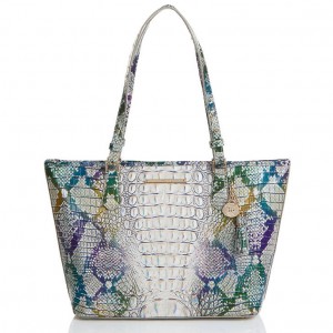 Multicolor Women's Brahmin Medium Asher Tote Bags | 0439DQZKE