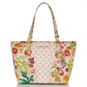 Multicolor Women's Brahmin Medium Asher Tote Bags | 5376UQBDS