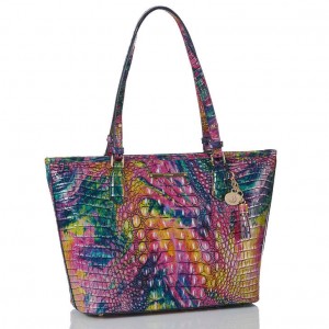 Multicolor Women's Brahmin Medium Asher Tote Bags | 4163FJBYD