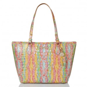 Multicolor Women's Brahmin Medium Asher Tote Bags | 8901PGZNR