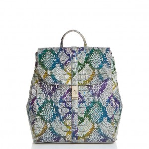 Multicolor Women's Brahmin Sadie Backpacks | 5971VCWIT