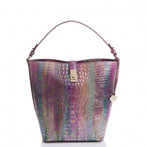 Multicolor Women's Brahmin Shira Bucket Bags | 2678MXBGI