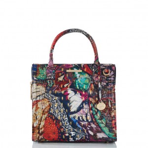 Multicolor Women's Brahmin Small Caroline Satchel Bags | 4803ENUXA